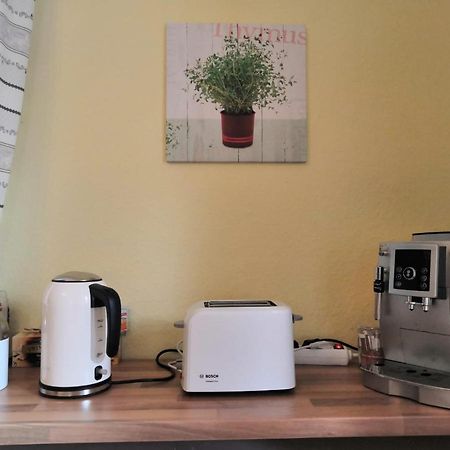 Ferienappartment Zum Gruenen Hirsch 바드이스흘 외부 사진