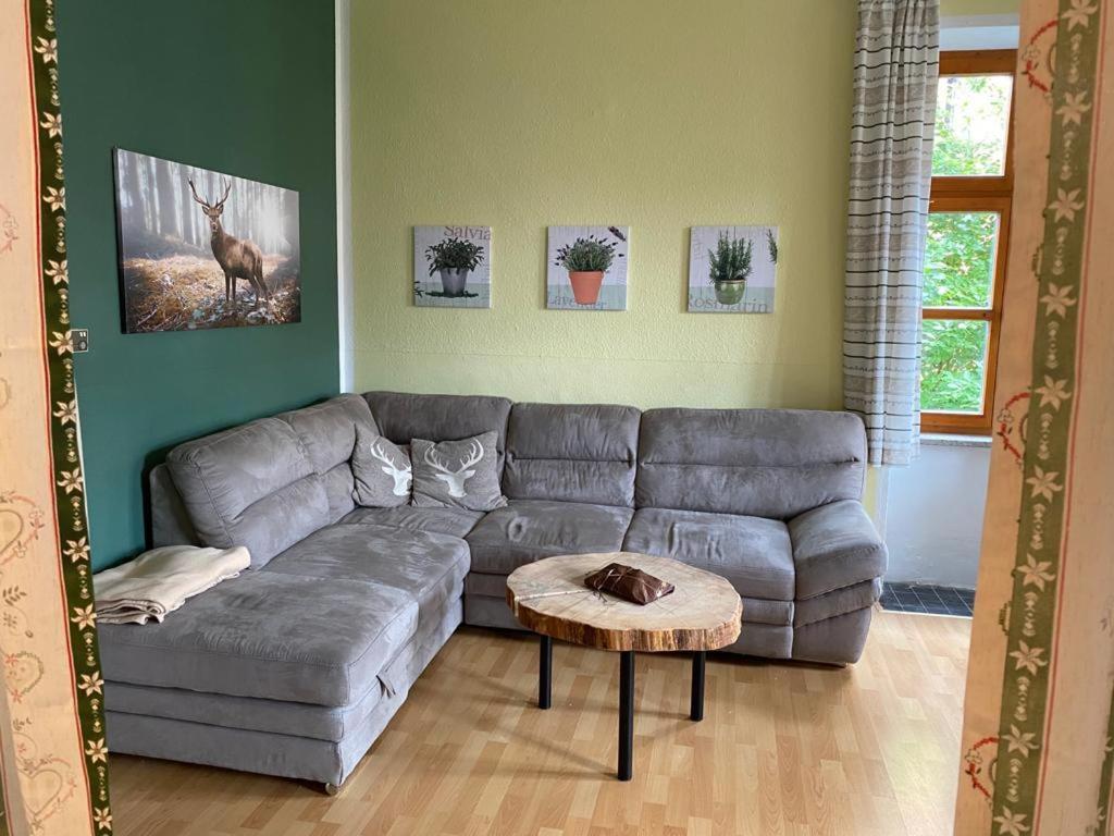 Ferienappartment Zum Gruenen Hirsch 바드이스흘 외부 사진