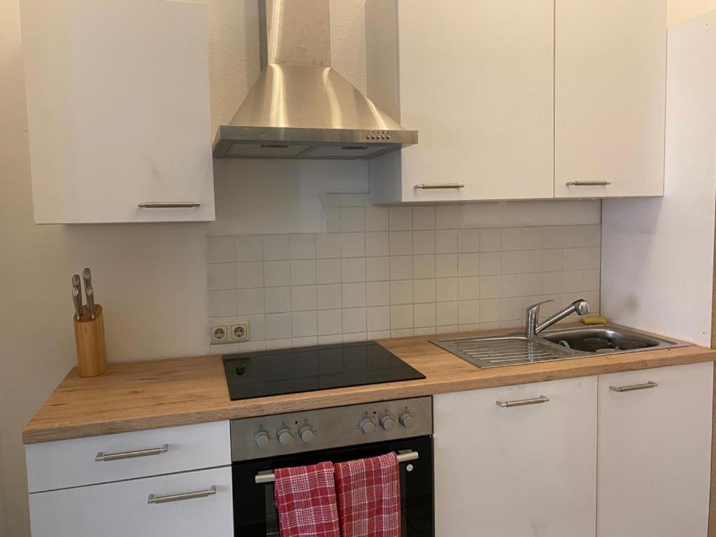 Ferienappartment Zum Gruenen Hirsch 바드이스흘 외부 사진